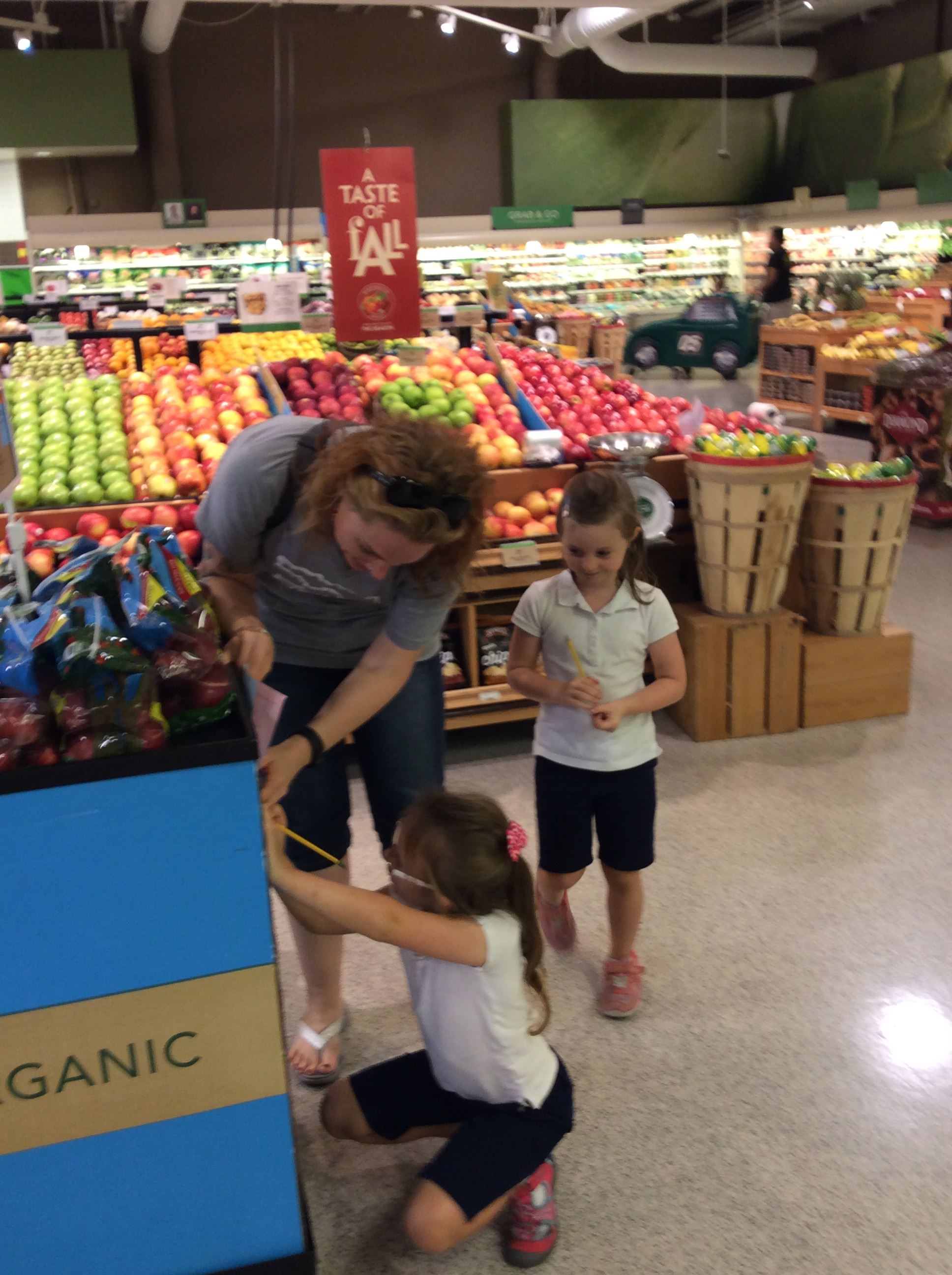 Wolfcale Ipad Pics Upload December 2016 075